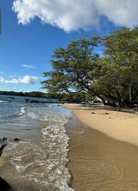 PackYourBags TravelAdventureTours